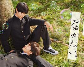 seo优化经理岗位职责